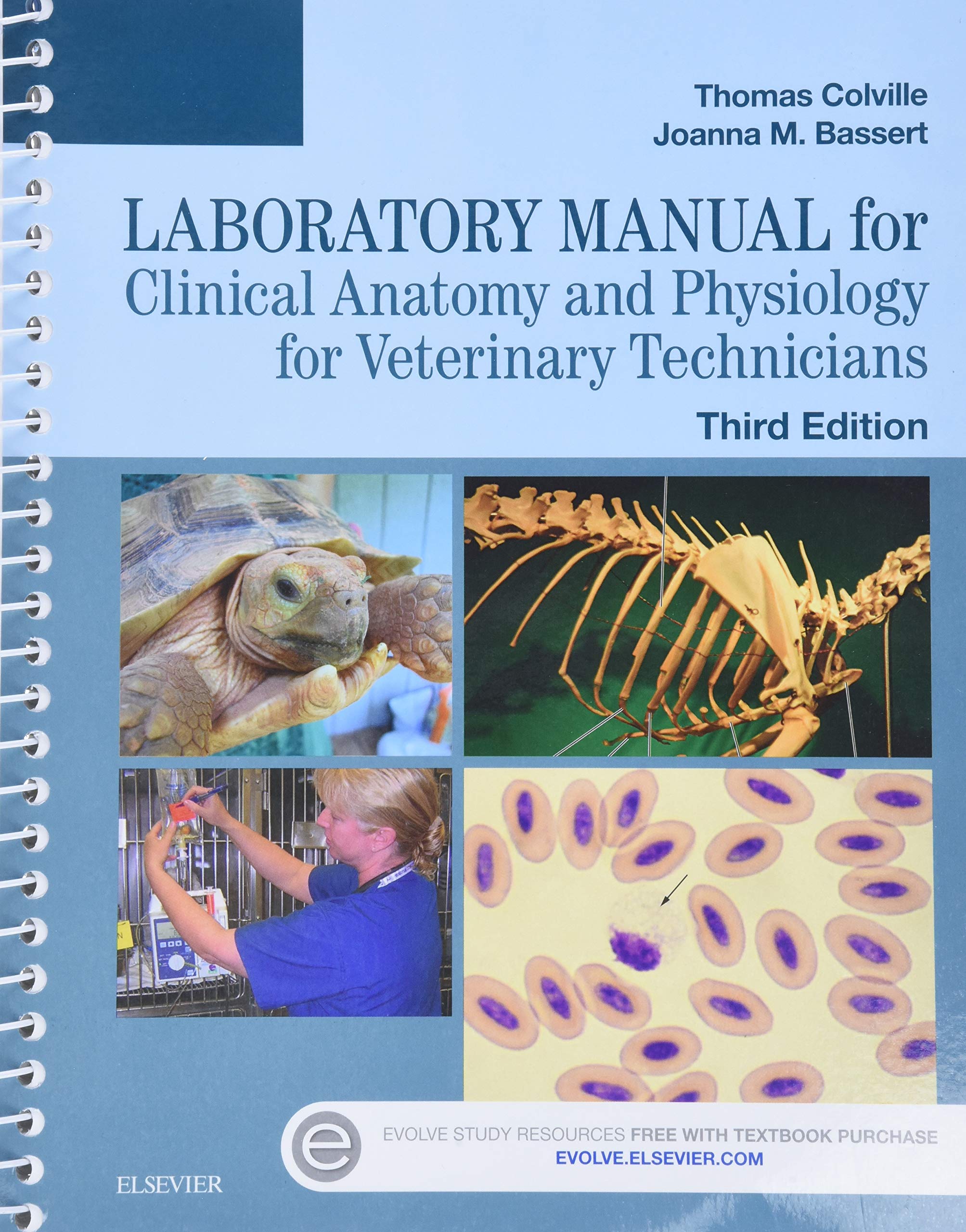 Laboratory Manual for Clinical Anatomy and Physiology for Veterinary Technicians,Used