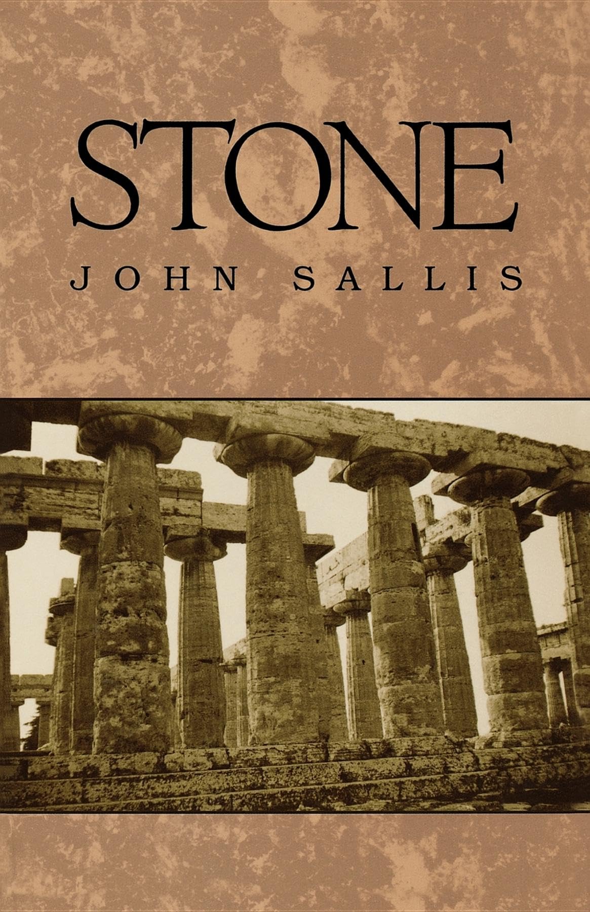 Stone (Studies In Continental Thought),Used
