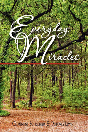 Everyday Miracles,Used