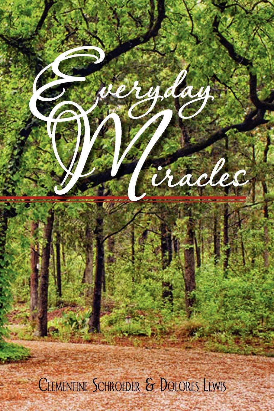 Everyday Miracles,Used