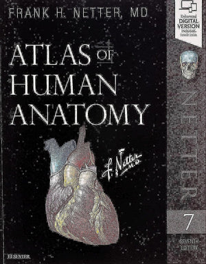 Atlas Of Human Anatomy (Netter Basic Science)