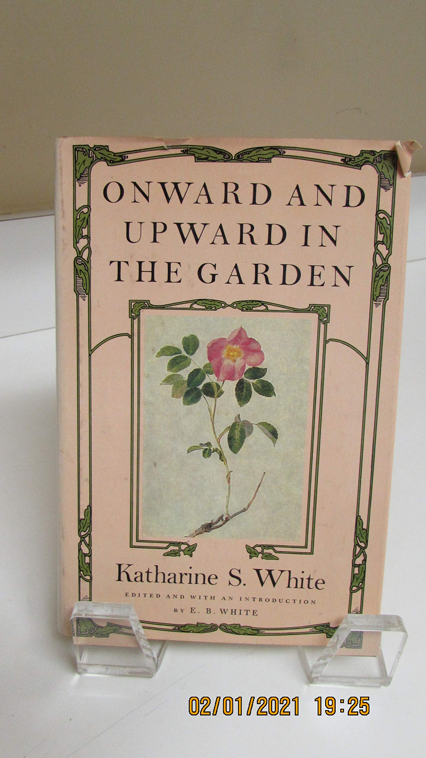 Onward And Upward In The Garden