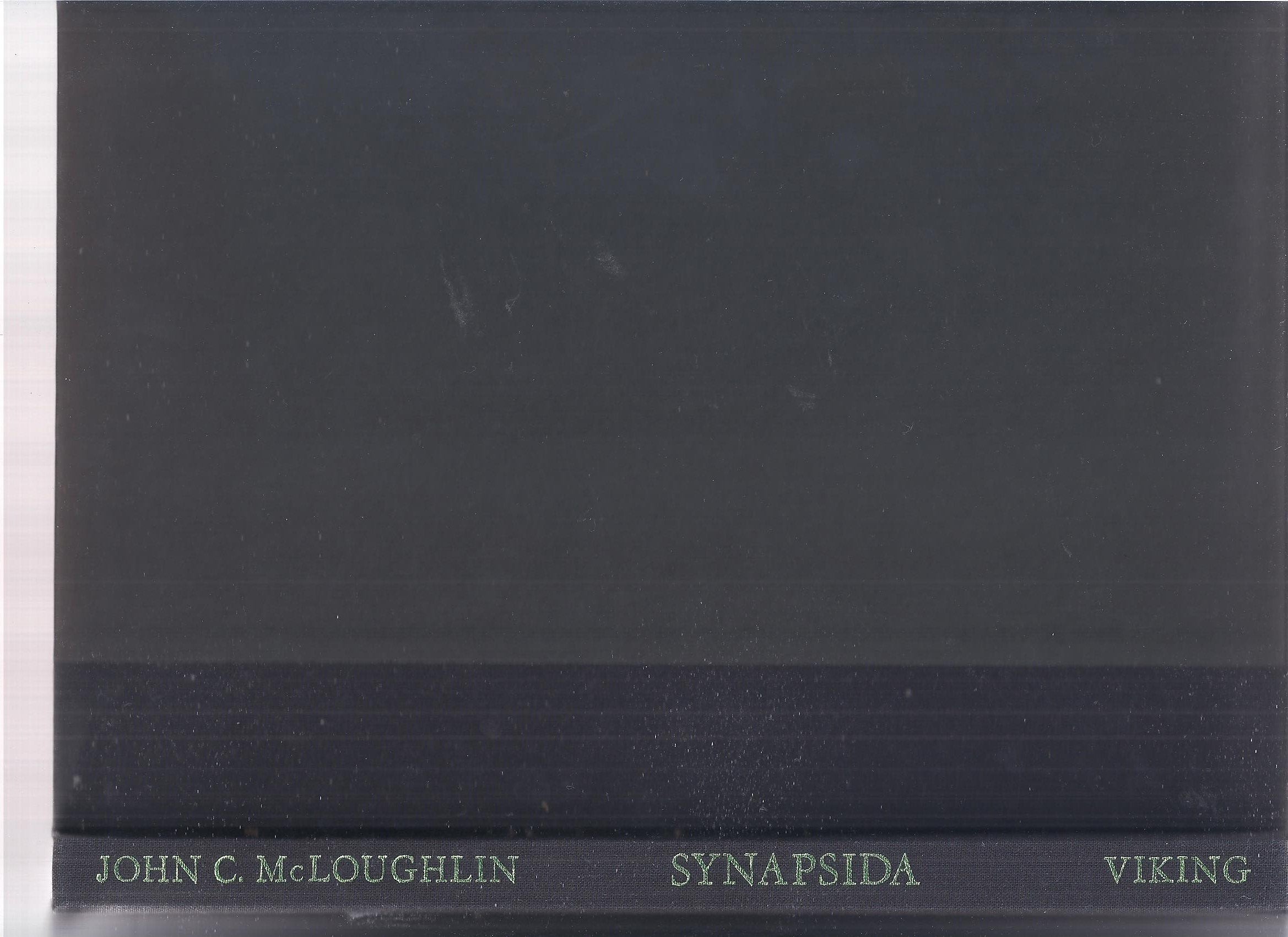 Synapsida