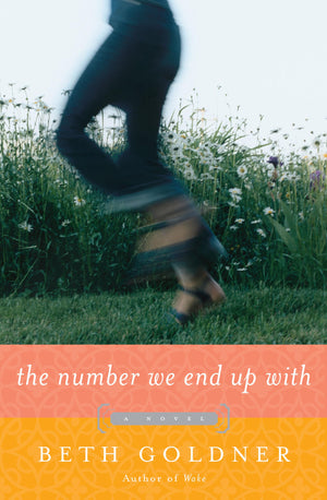The Number We End Up With: A Novel,Used