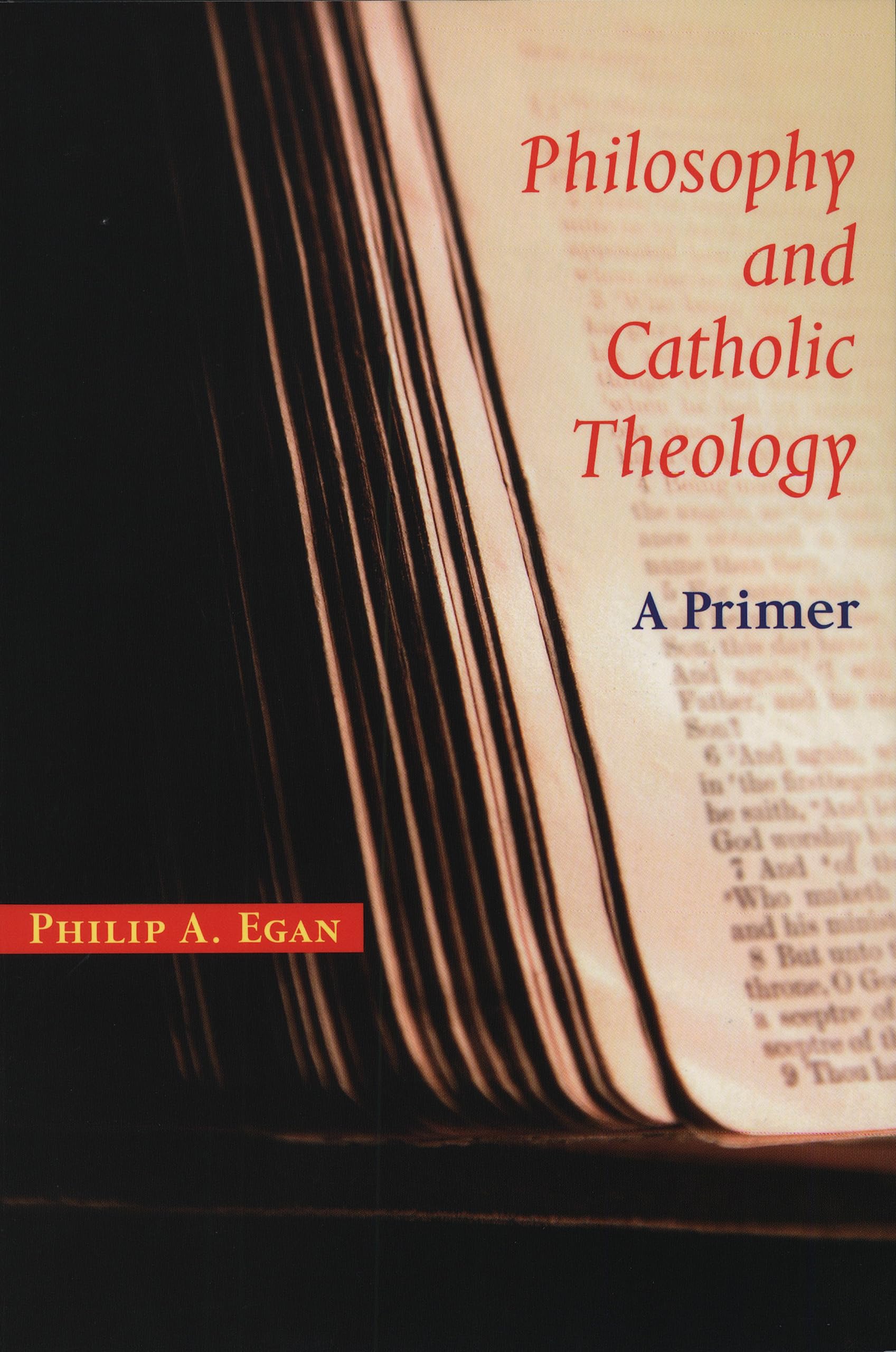 Philosophy And Catholic Theology: A Primer,Used