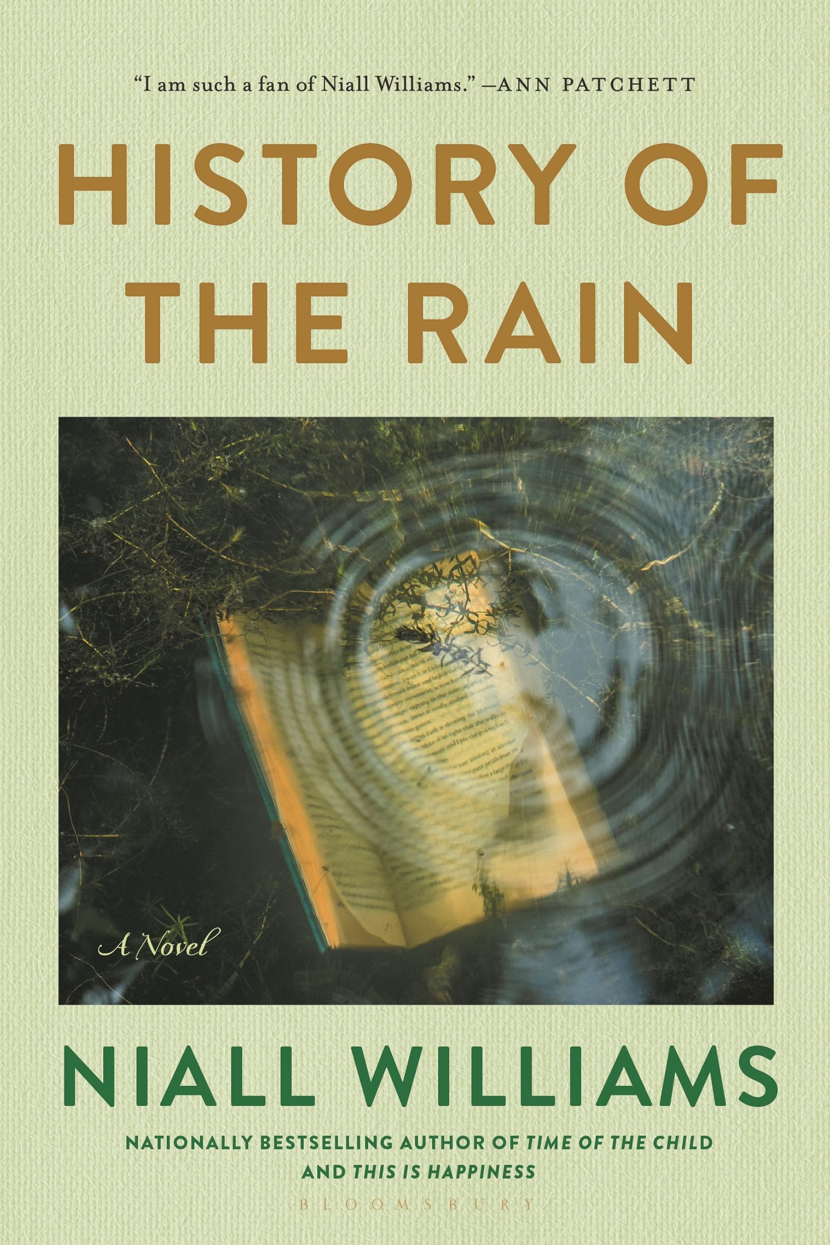 History of the Rain: A Novel,Used