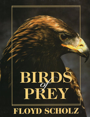 Birds of Prey,New