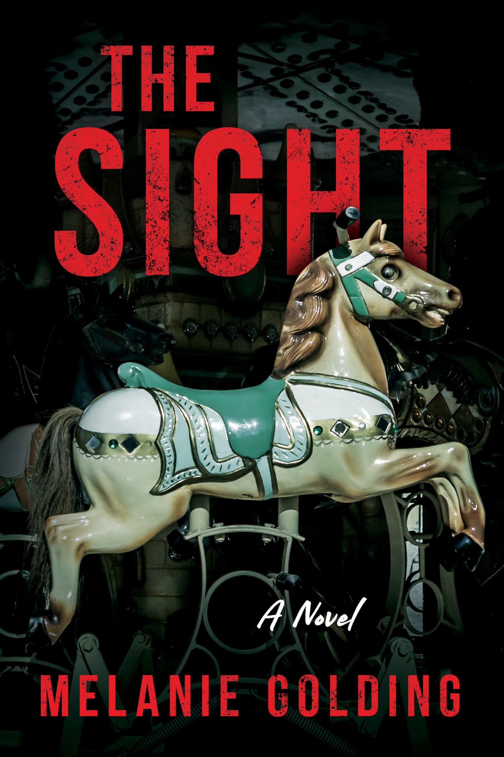 The Sight: A Novel,Used