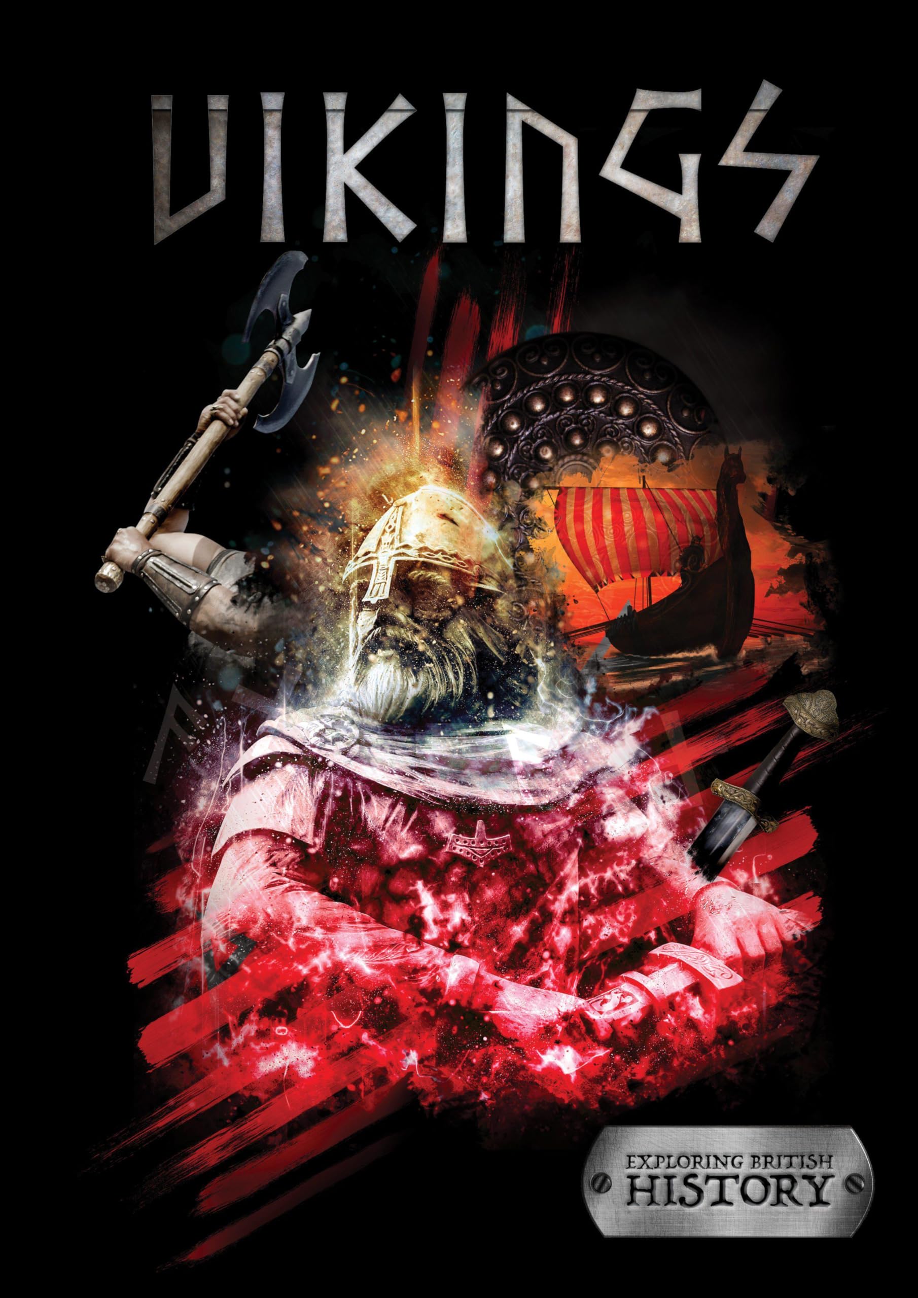The Vikings (Exploring British History),Used
