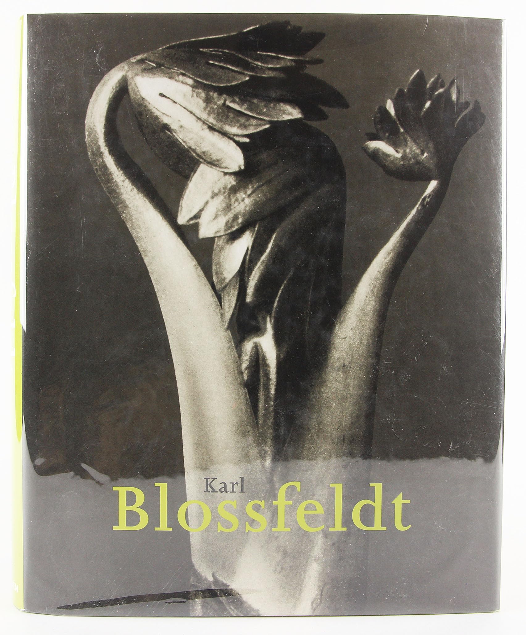 Karl Blossfeldt: 18651932,Used