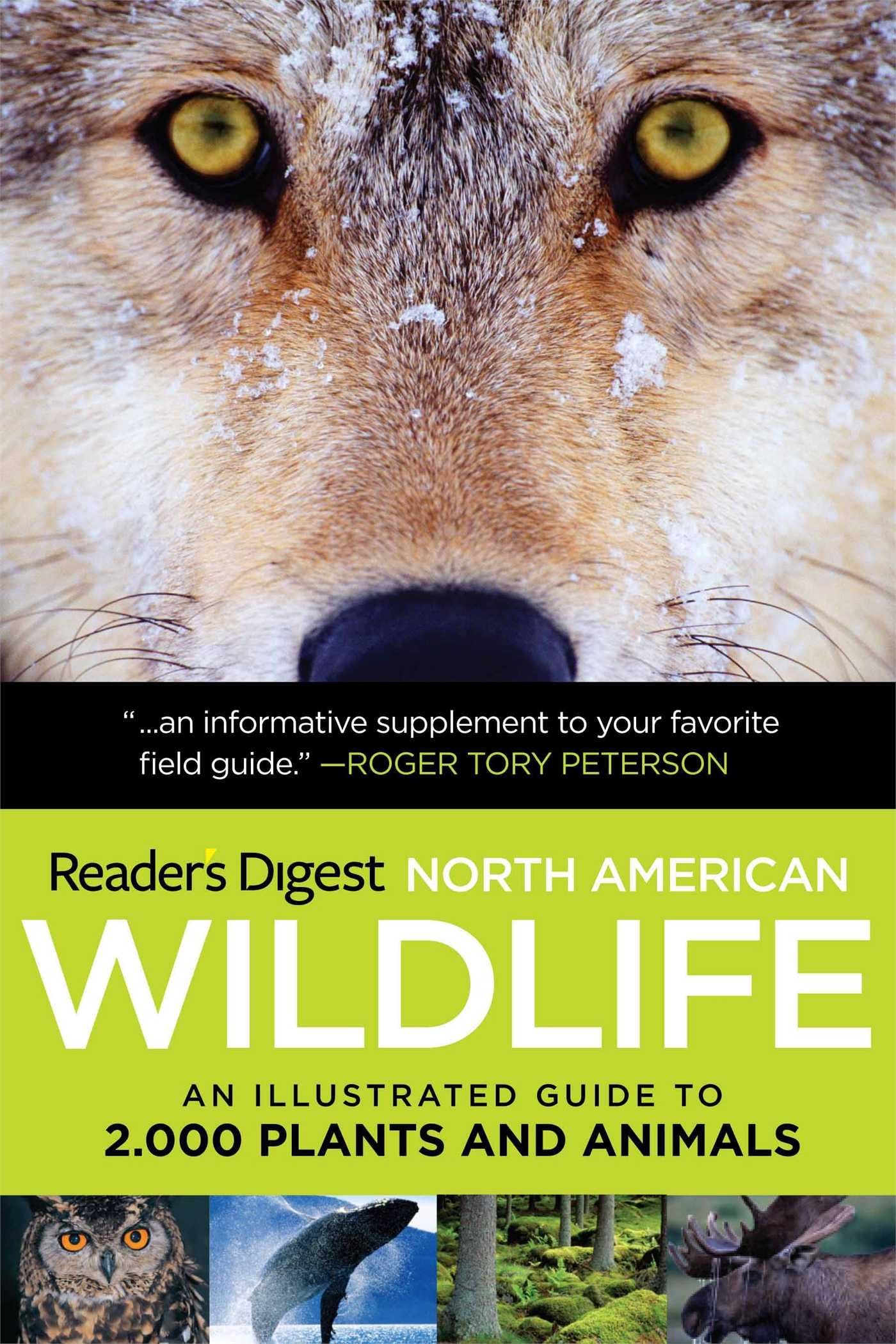 North American Wildlife: An Illustrated Guide to 2,000 Plants and Animals (Reader's Digest),Used