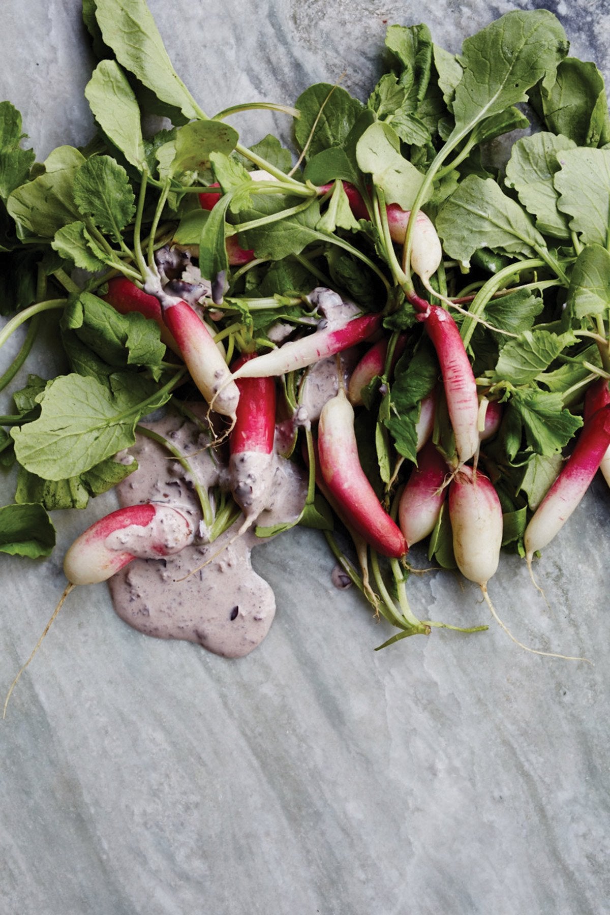 Gjelina: Cooking From Venice, California