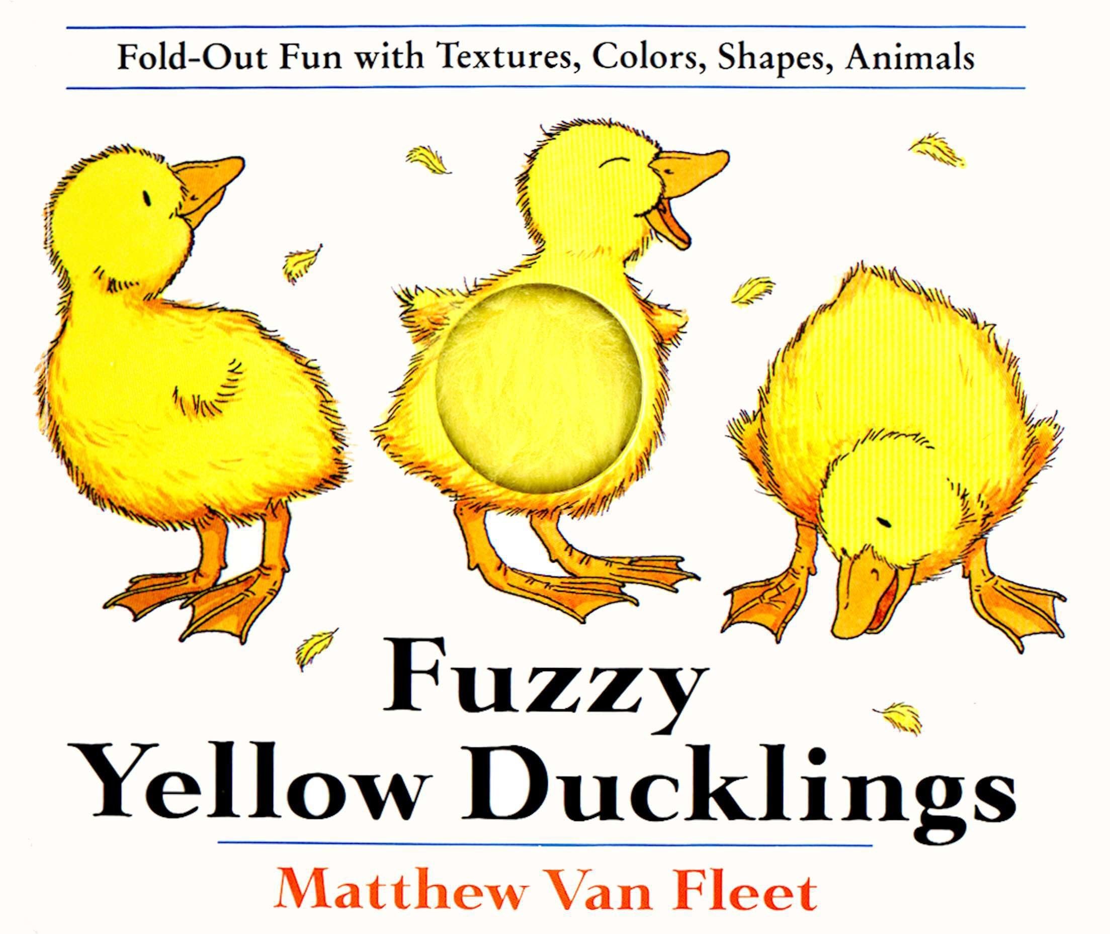 Fuzzy Yellow Ducklings,Used