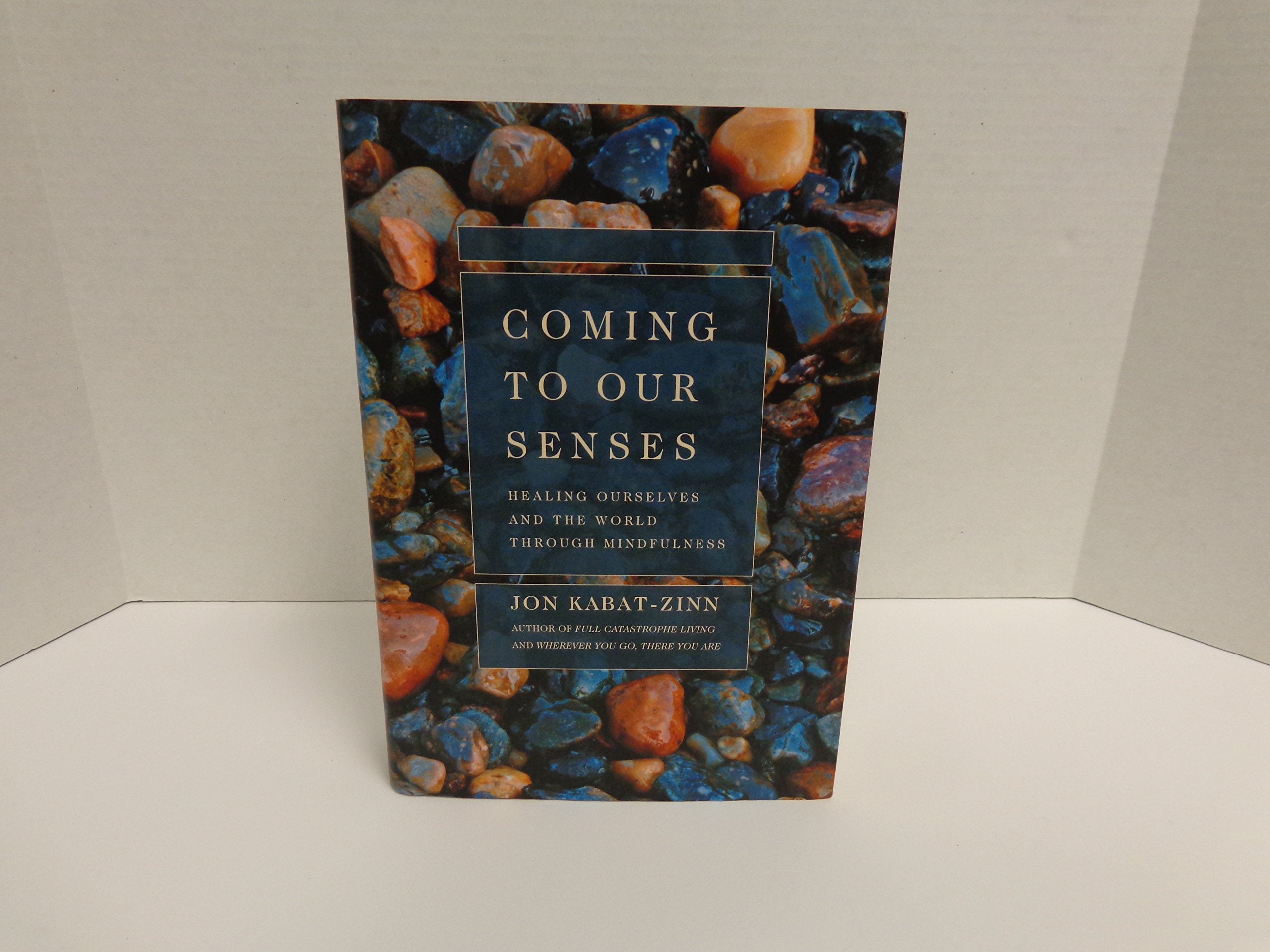 Coming To Our Senses: Healing Ourselves And The World Through Mindfulness,Used