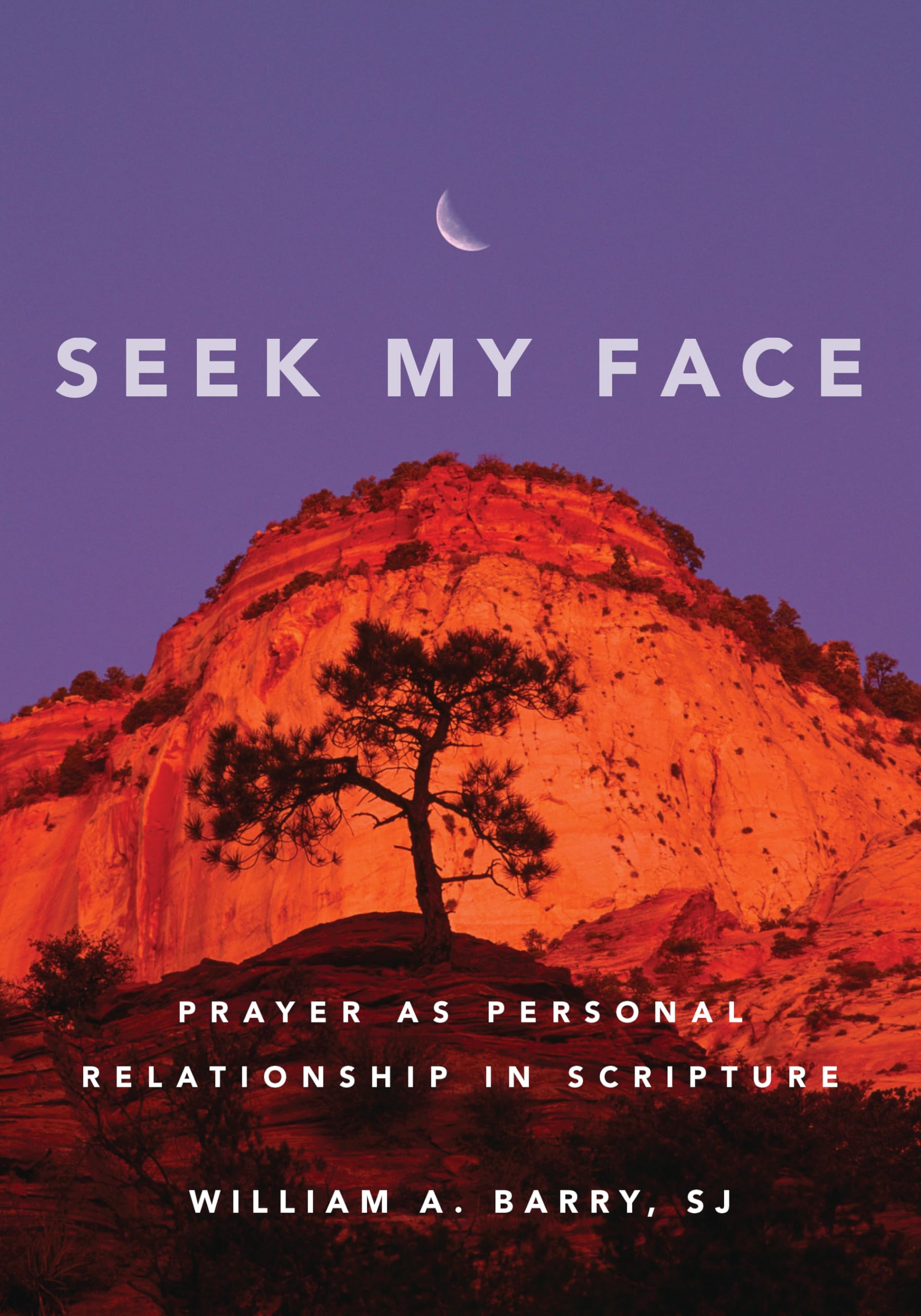 Seek My Face: Prayer As Personal Relationship In Scripture,Used