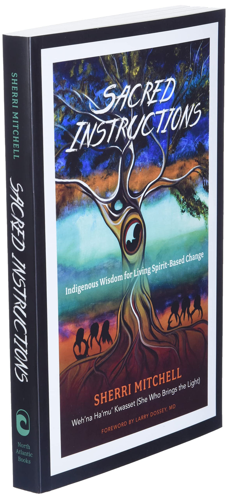 Sacred Instructions: Indigenous Wisdom for Living SpiritBased Change,New