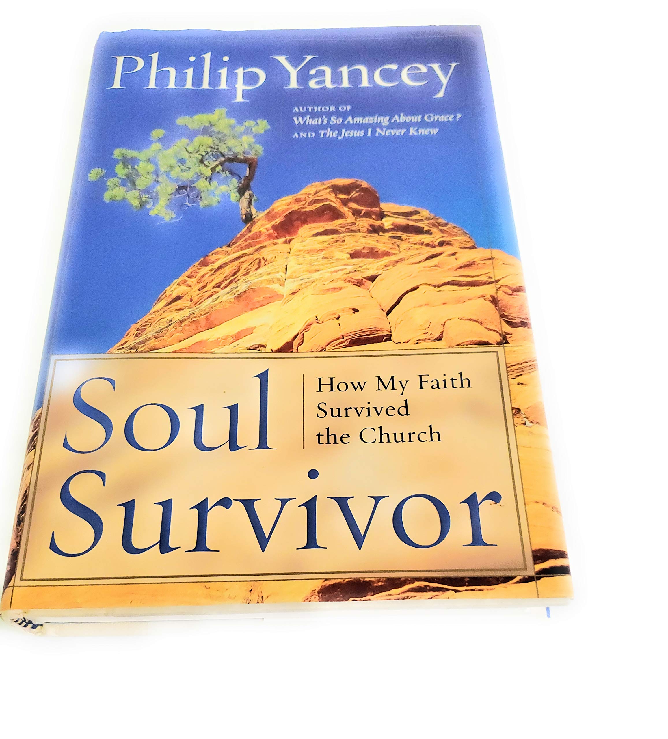 Soul Survivor: Why I Am Still A Christian,New