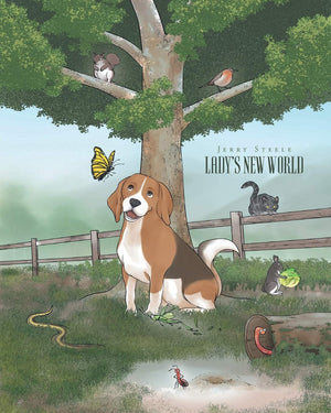 Lady's New World,Used