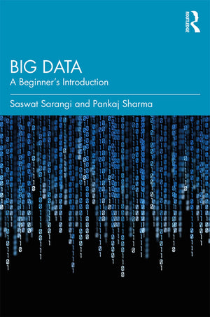 Big Data,Used