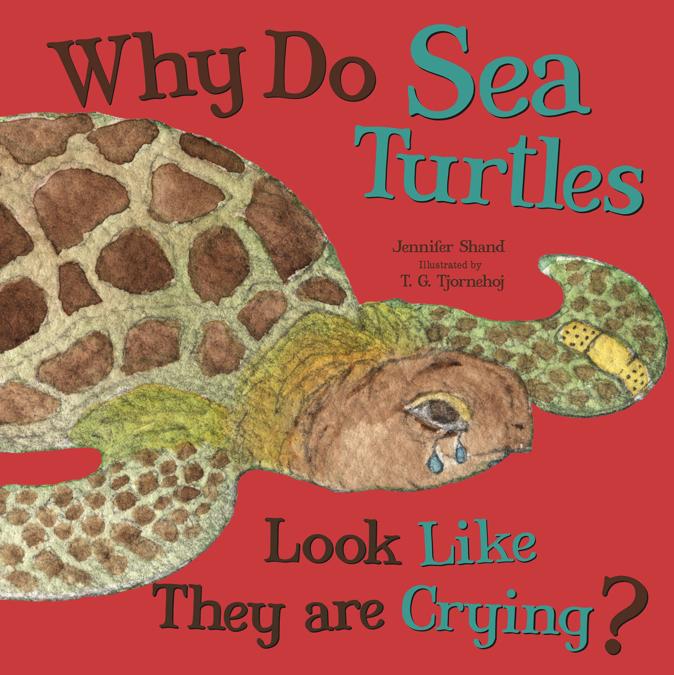 Why Do Sea Turtles Cry Look Like They are Crying?,Used