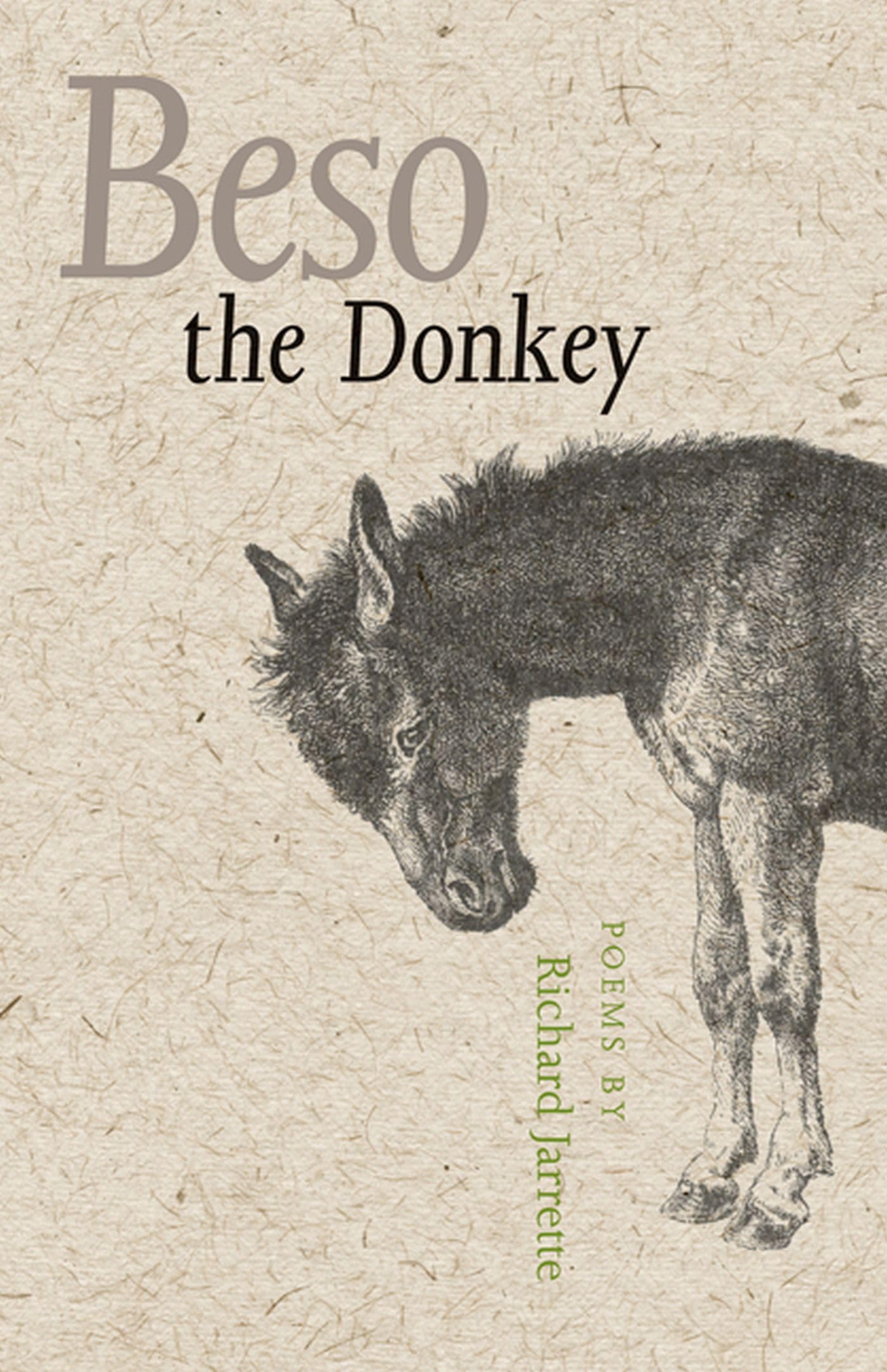 Beso the Donkey,Used
