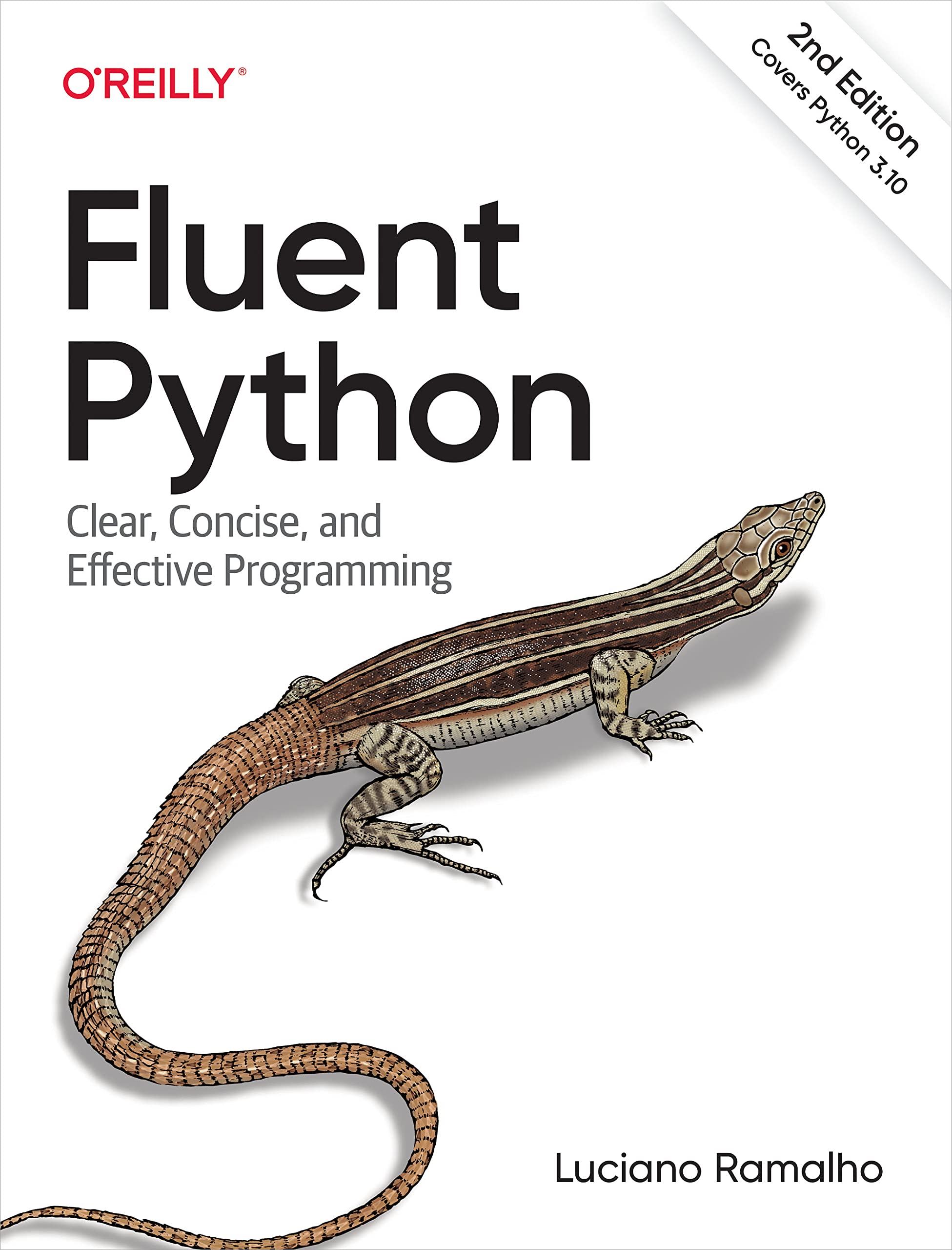 Fluent Python: Clear, Concise, and Effective Programming,Used