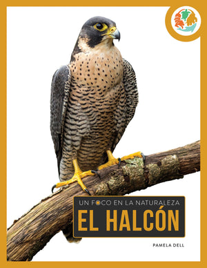 El Halcn (Spanish Edition)