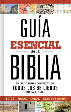 Gu?a esencial de la Biblia  Ultimate Bible Guide (Spanish Edition),New