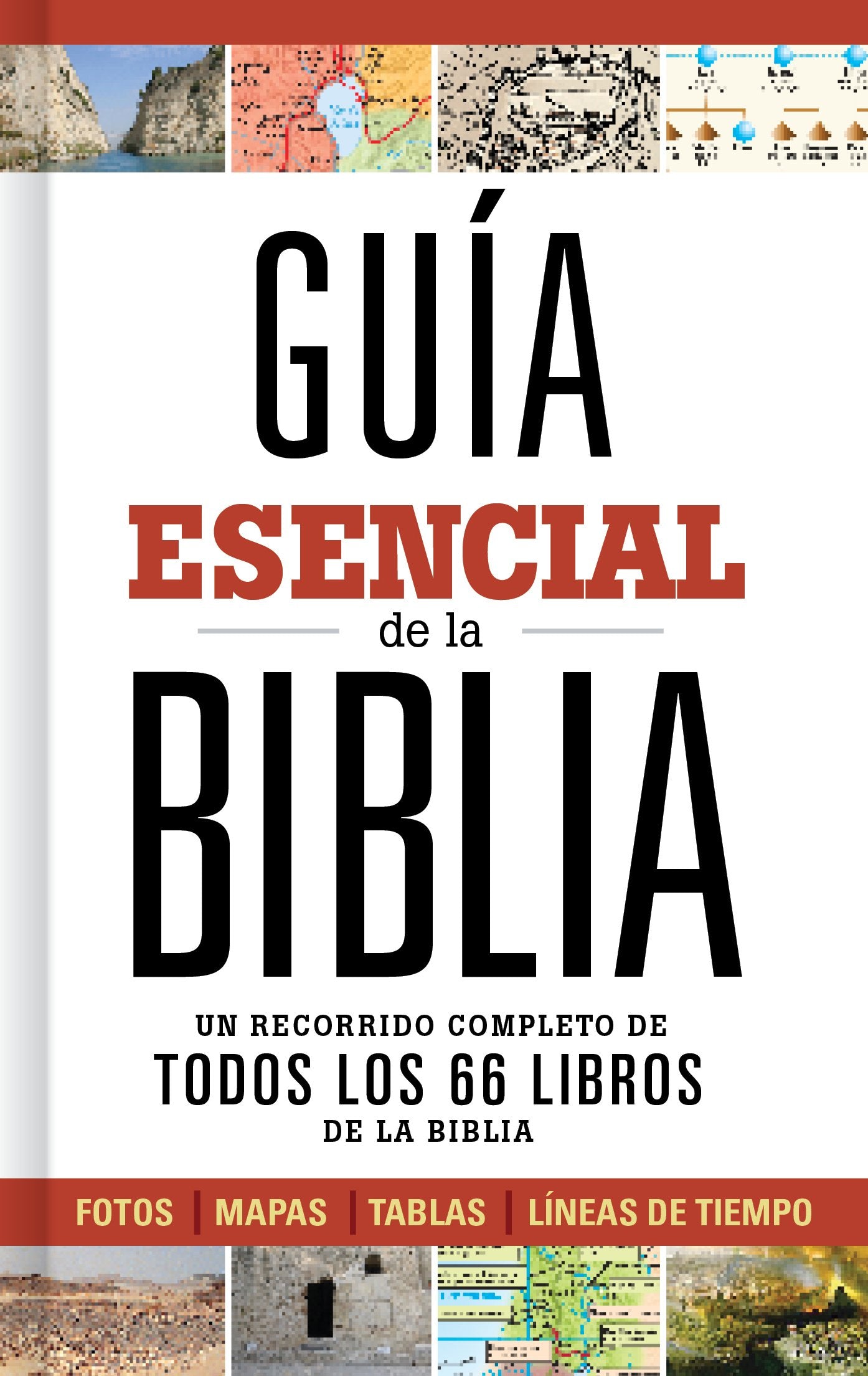 Gu?a esencial de la Biblia  Ultimate Bible Guide (Spanish Edition),Used