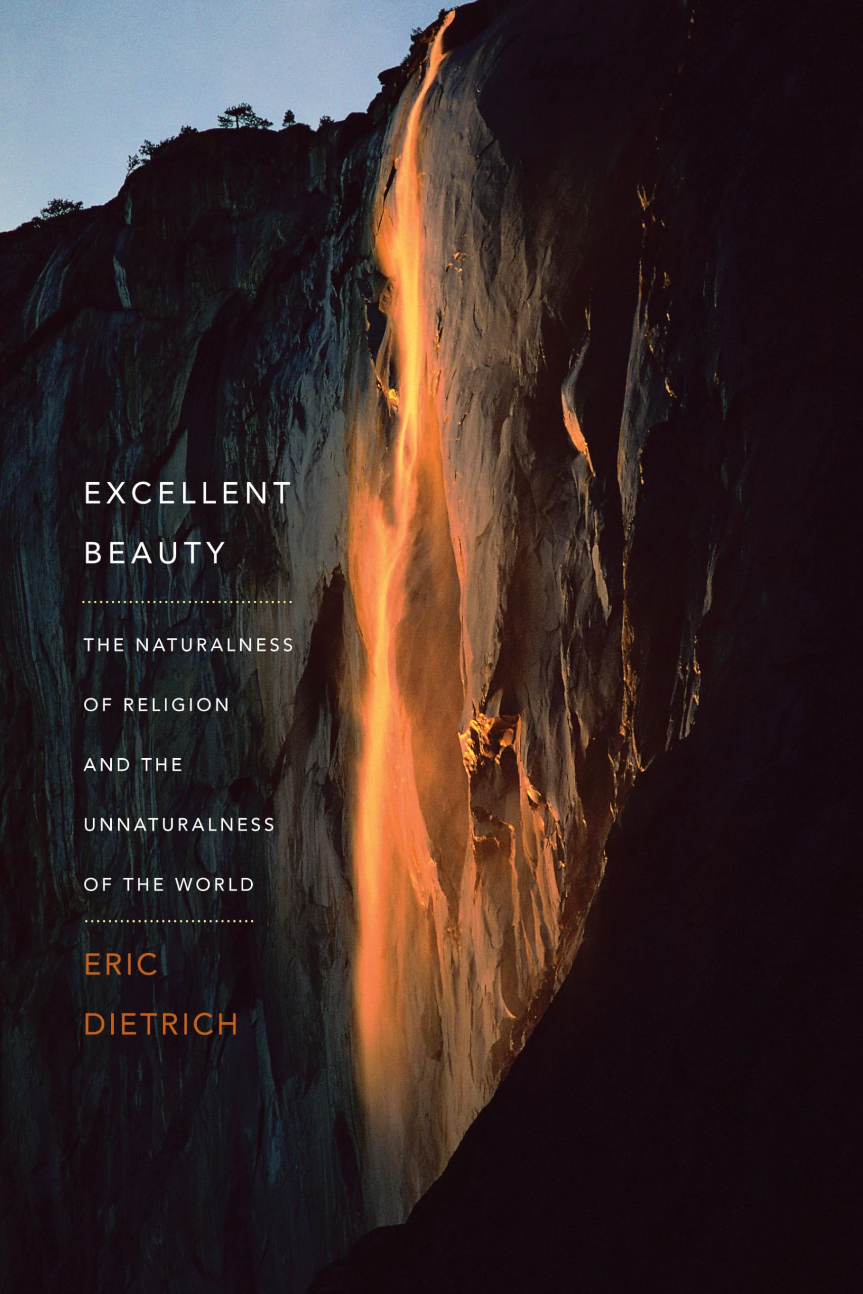 Excellent Beauty: The Naturalness of Religion and the Unnaturalness of the World,Used