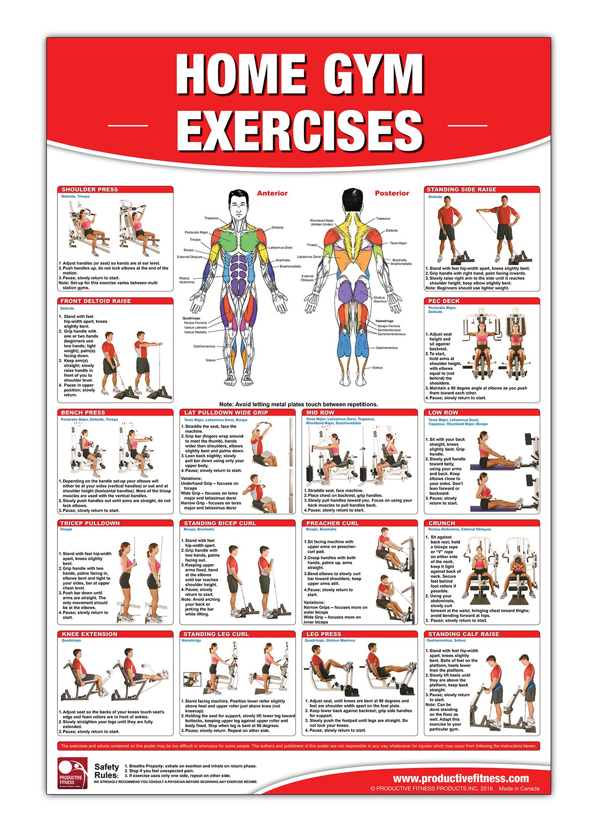 Home Gym Exercises Laminated Poster/Chart: Home Gym Chart, Home Gym Weight Lifting Routine, Weight Stack Gym Chart, BodySolid Gy,Used