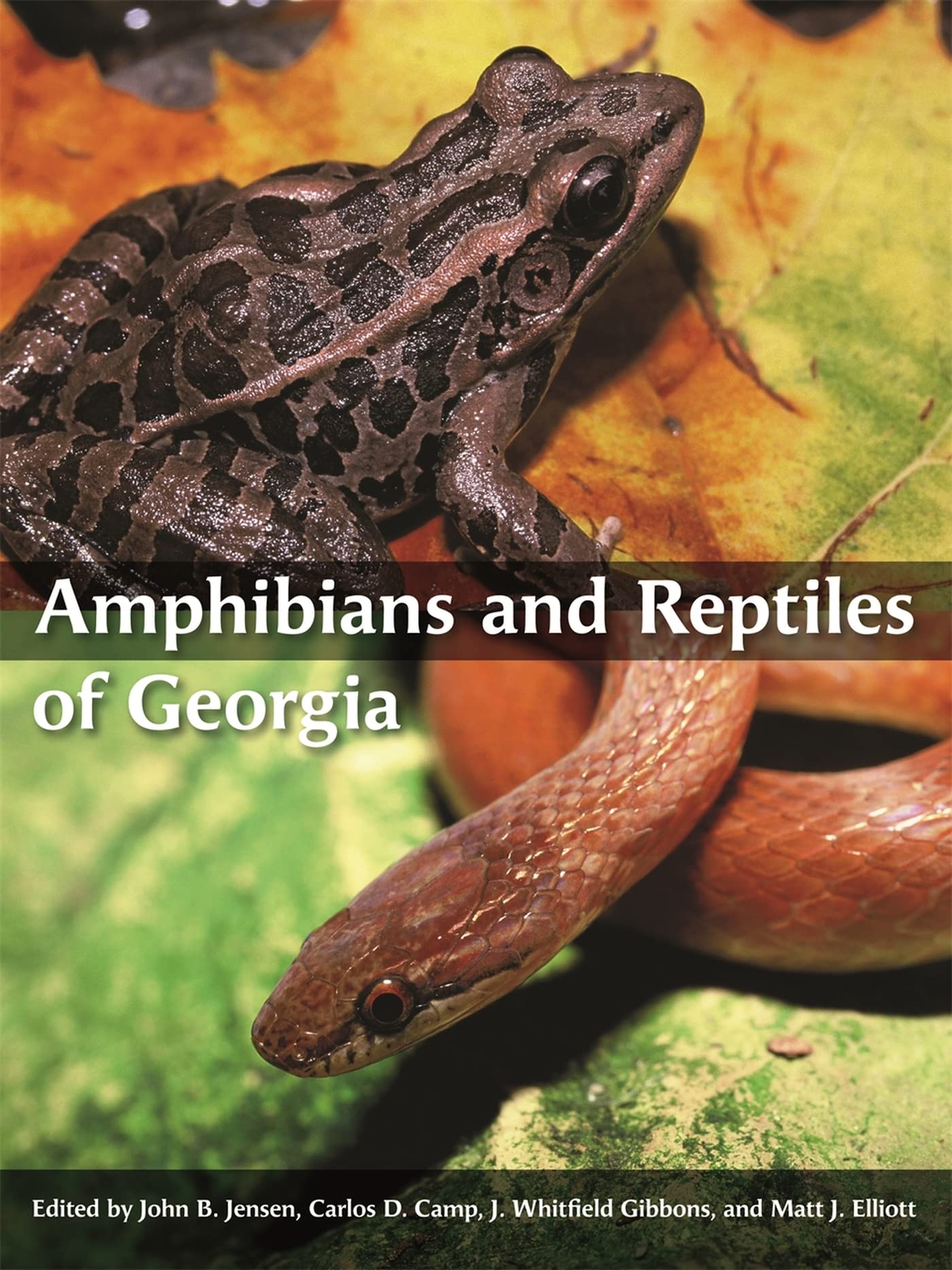 Amphibians And Reptiles Of Georgia