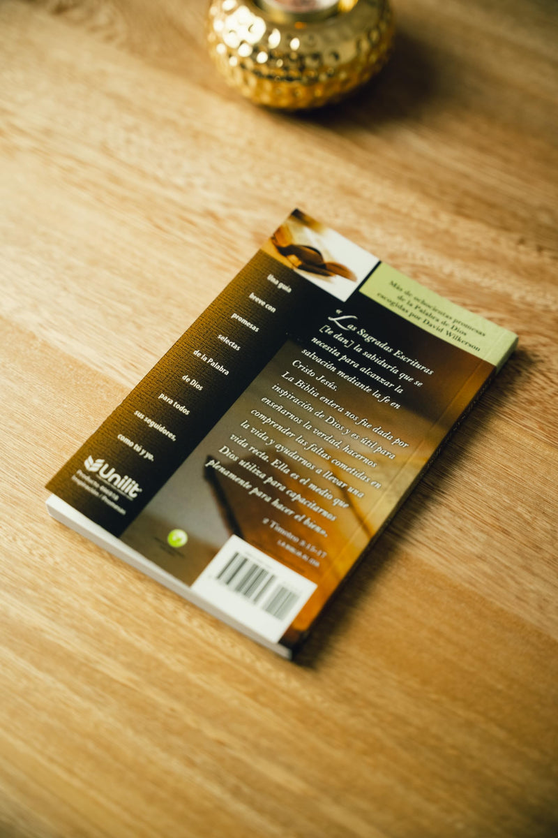 Promesas de Jess  Serie Favoritos (Spanish Edition),Used
