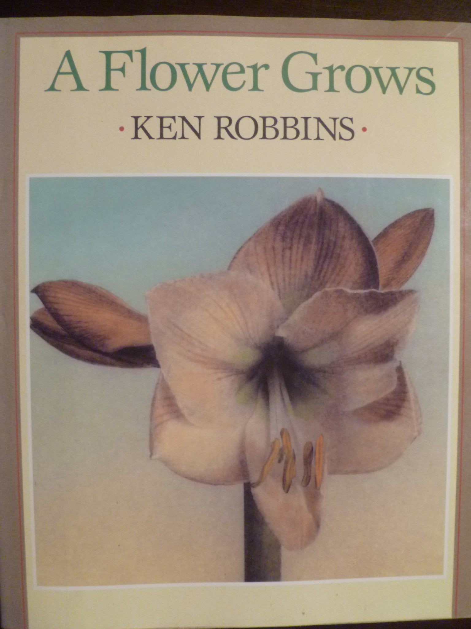 A Flower Grows,Used