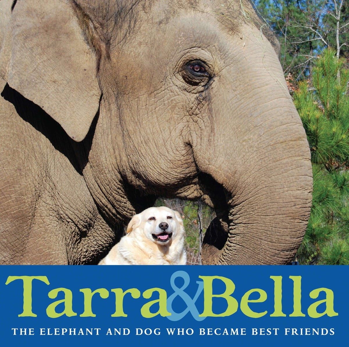 Tarra & Bella: The Elephant and Dog Who Became Best Friends,New