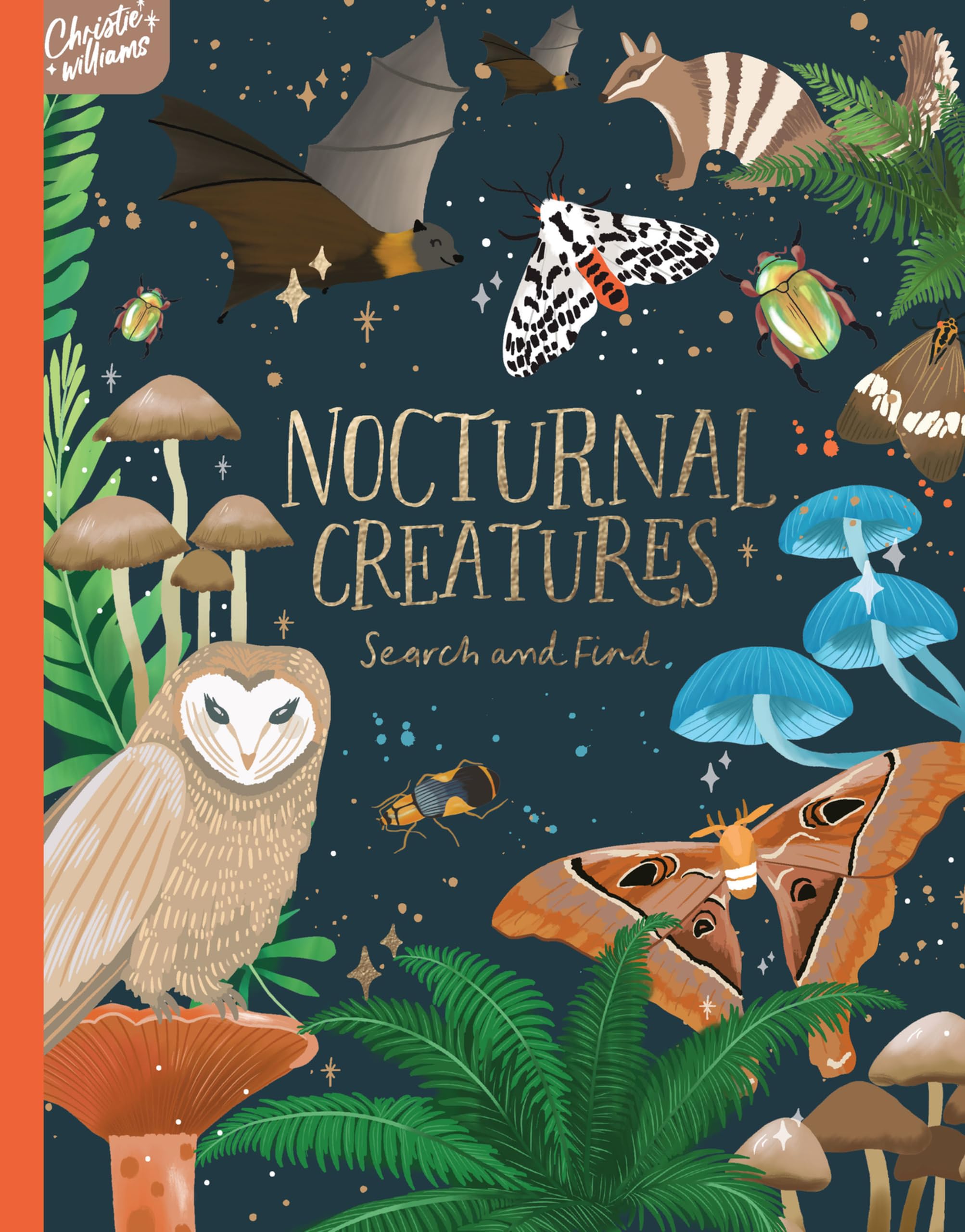 Nocturnal Creatures Search and Find: Search and Find Book