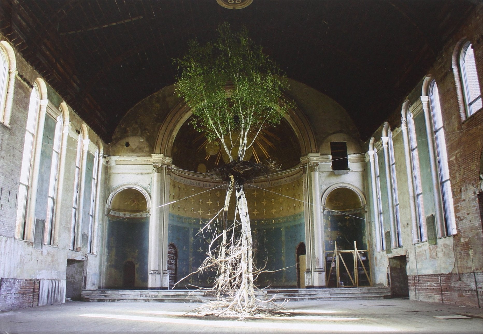 Shinji Turneryamamoto: Global Tree Project,Used