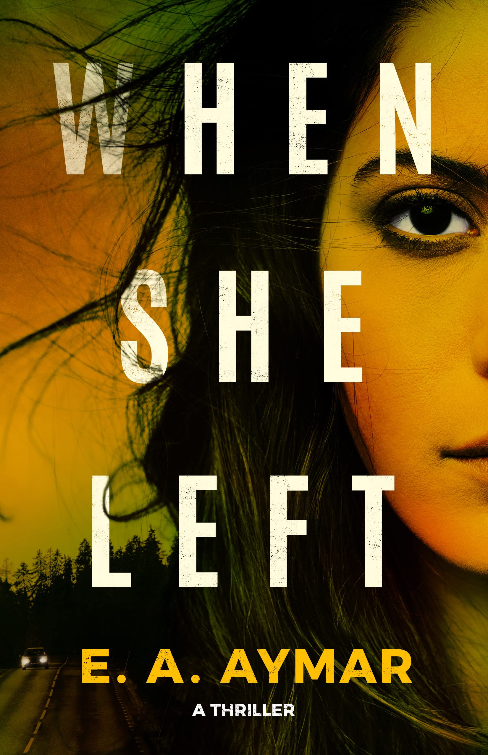 When She Left: A Thriller,Used