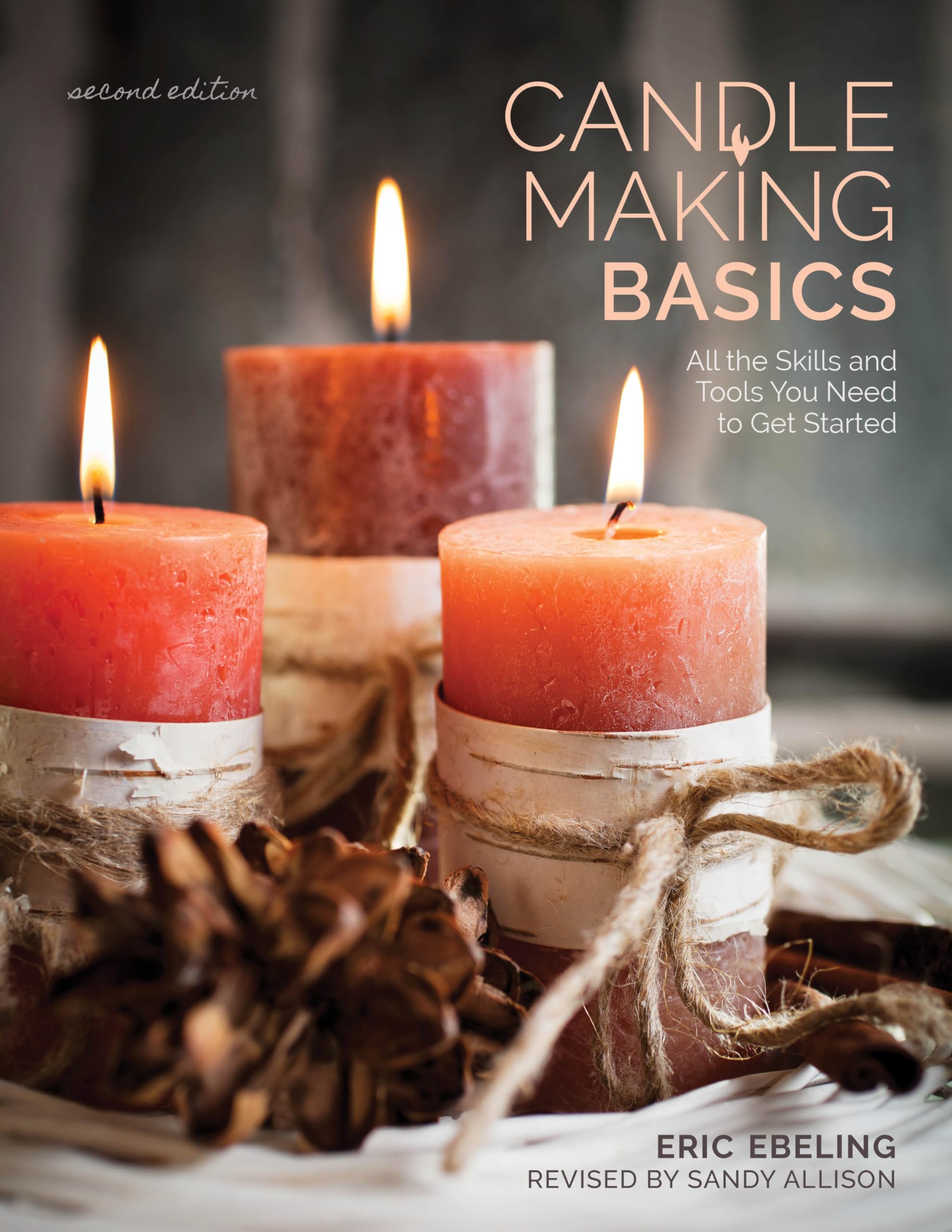 Candle Making Basics: All The Skills And Tools You Need To Get Started (How To Basics),Used
