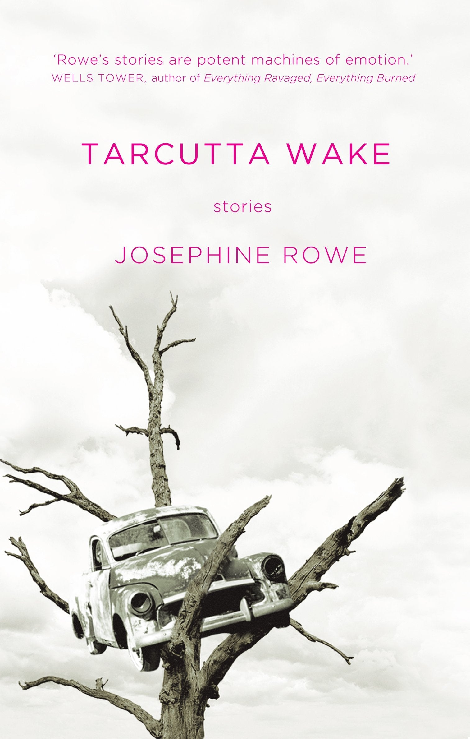 Tarcutta Wake: Stories,Used