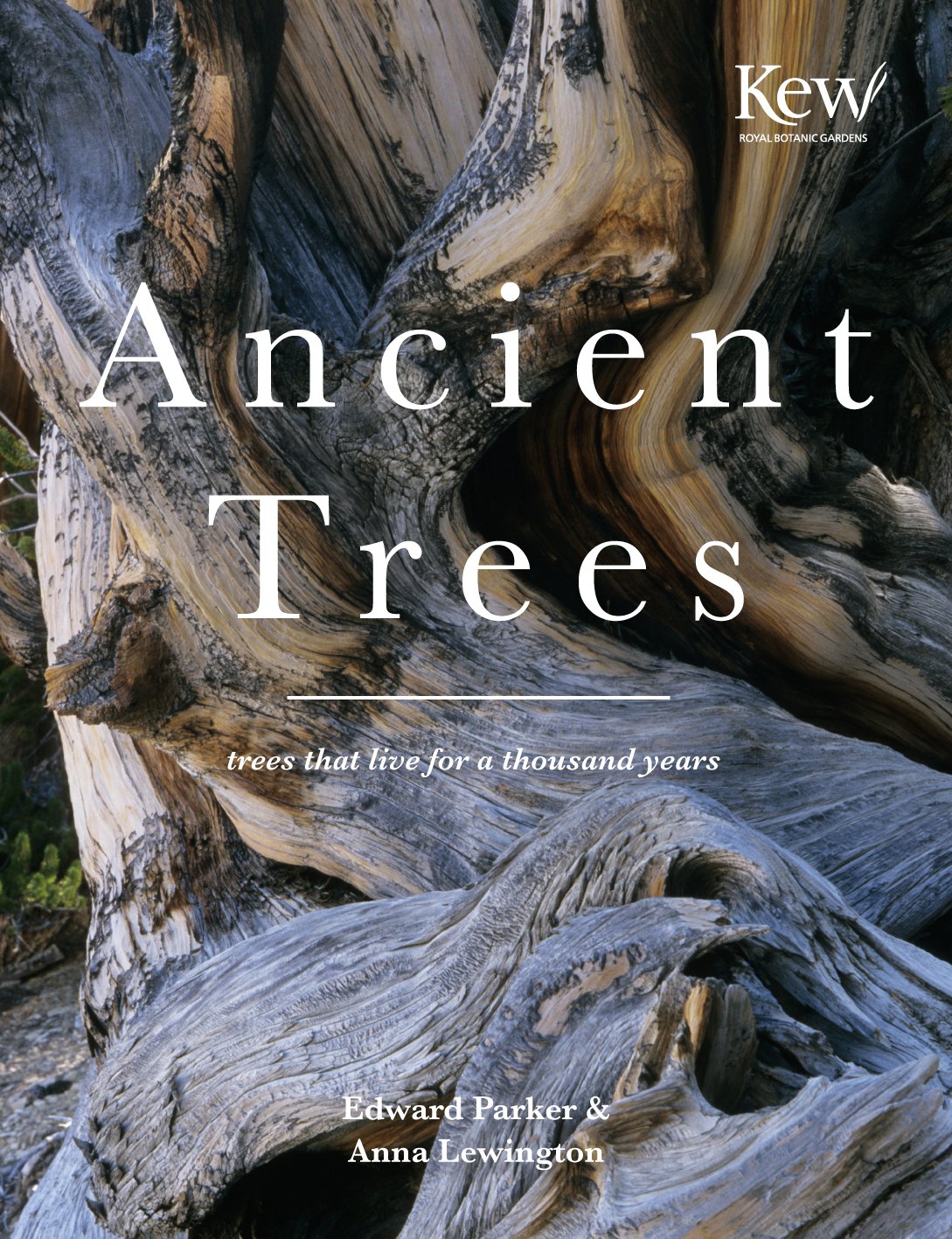 Ancient Trees: Trees that live for a thousand years (National Trust History & Heritage),New