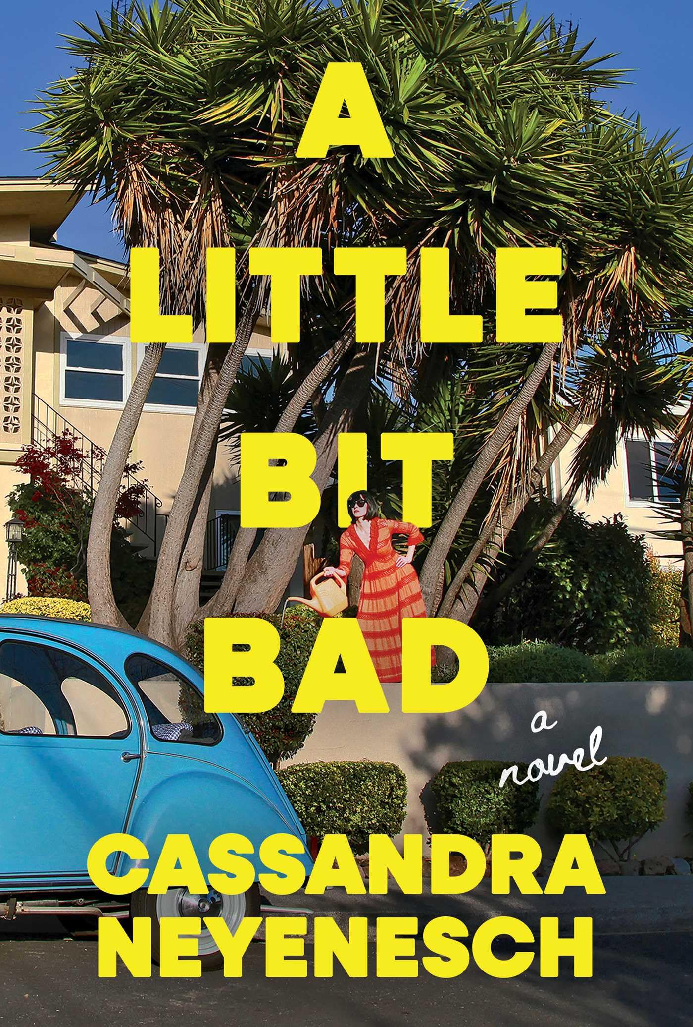 A Little Bit Bad: A Novel