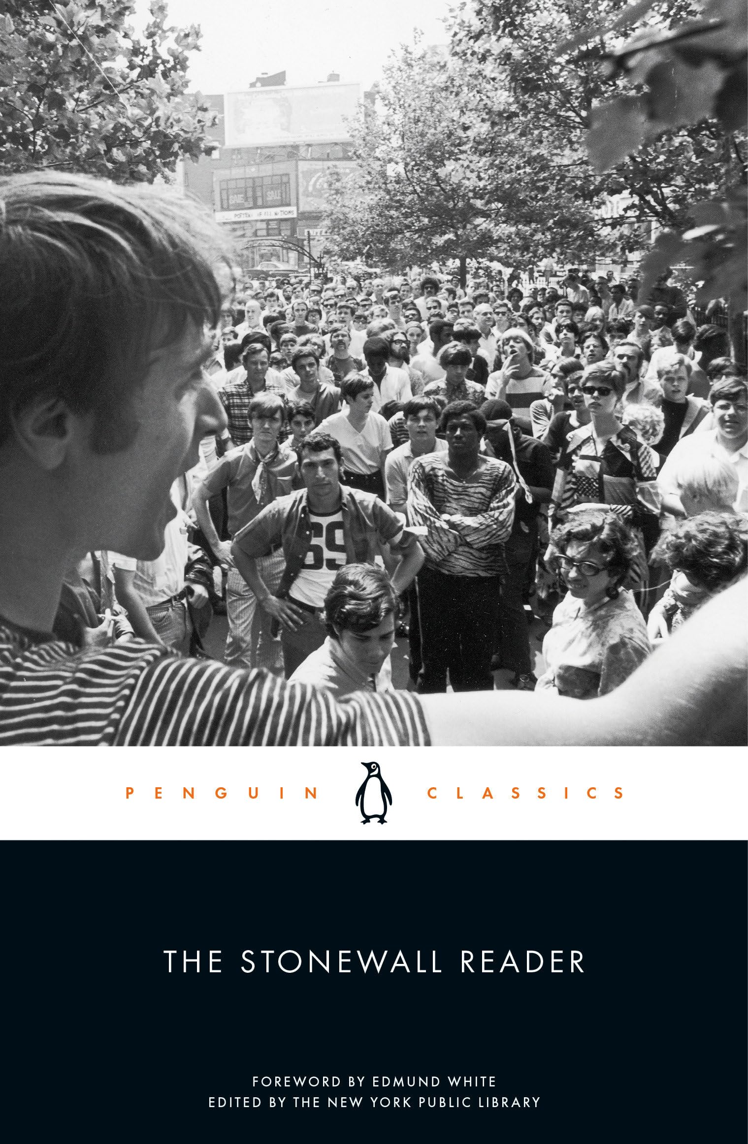 The Stonewall Reader,Used