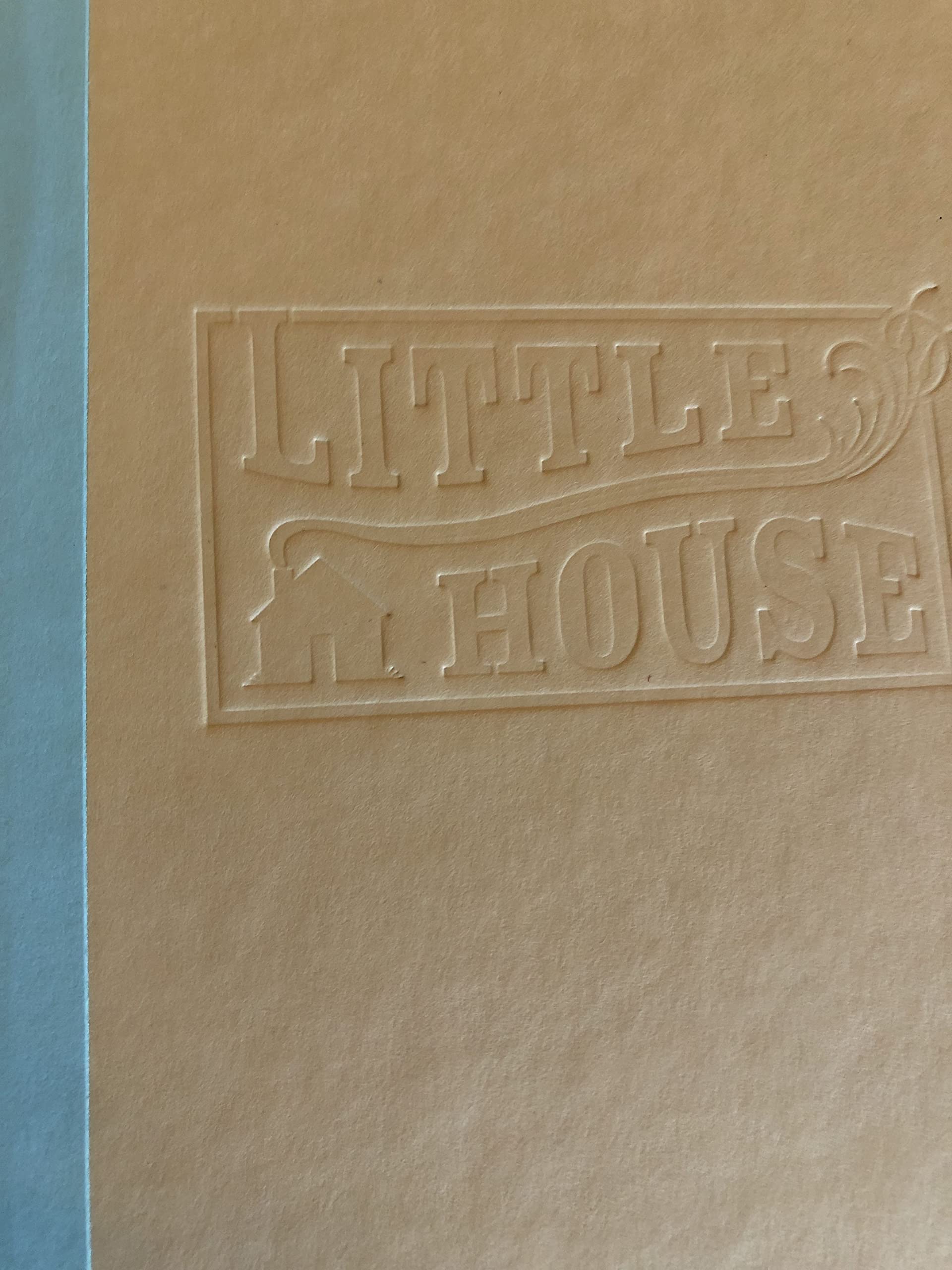 Mary Ingalls On Her Own (Little House Sequel)