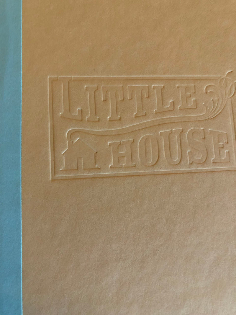 Mary Ingalls On Her Own (Little House Sequel)