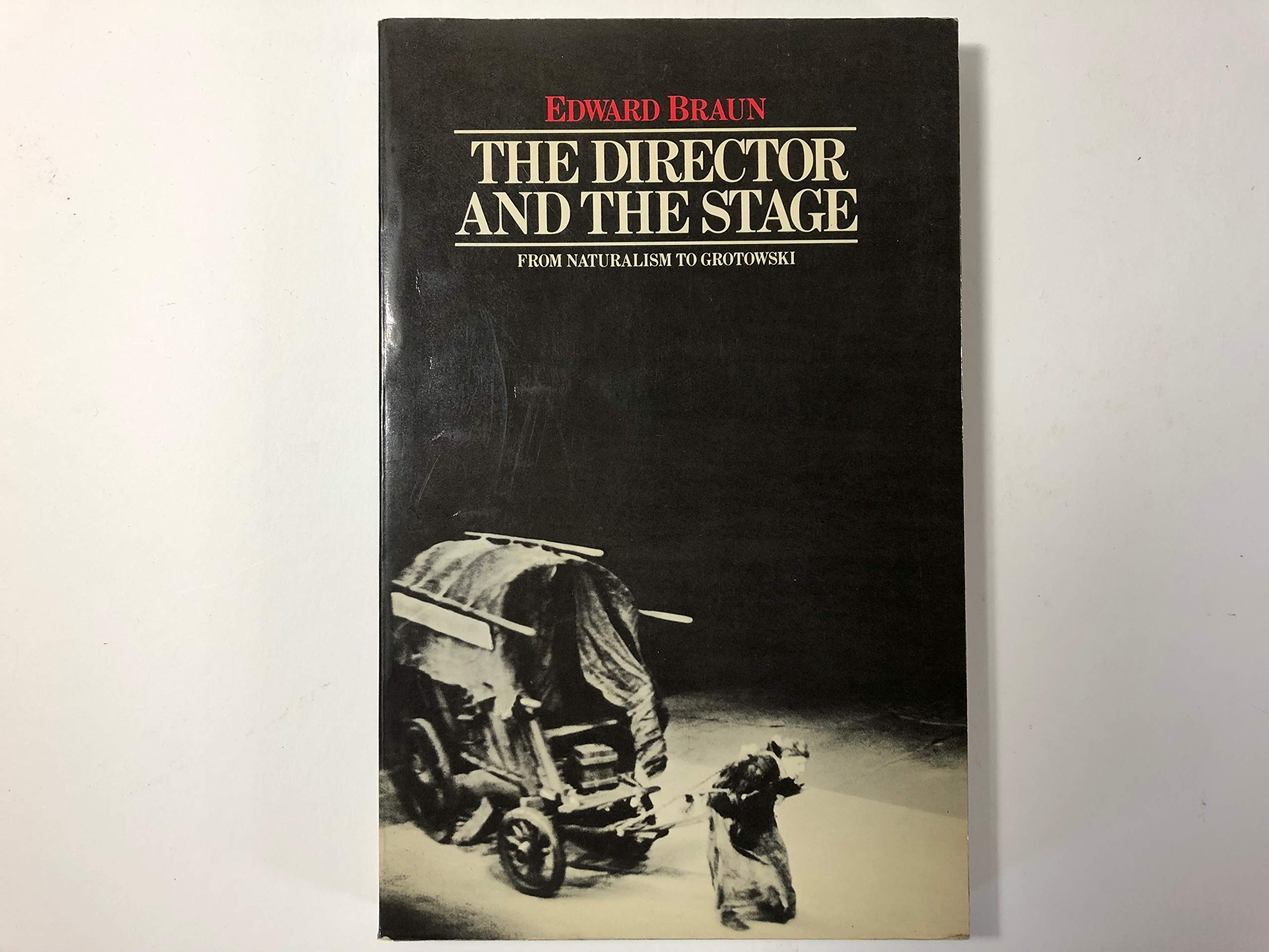 The Director and the Stage: From Naturalism to Grotowski,Used