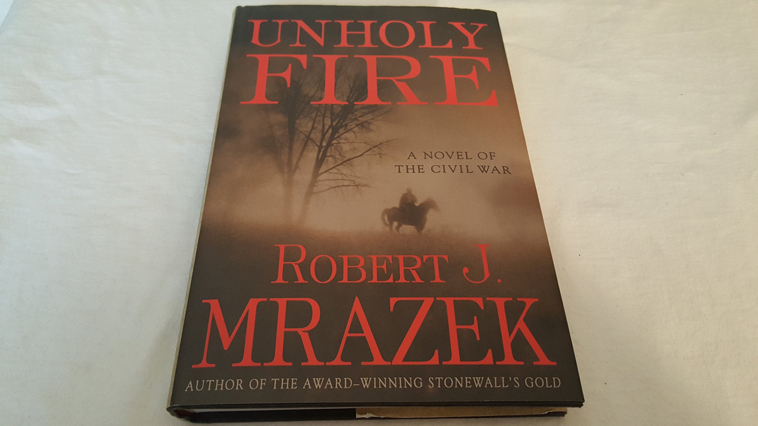 Unholy Fire: A Novel Of The Civil War-new