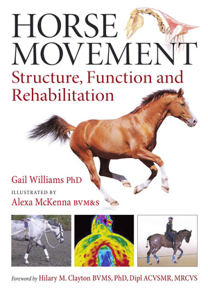 Horse Movement: Structure, Function And Rehabilitation
