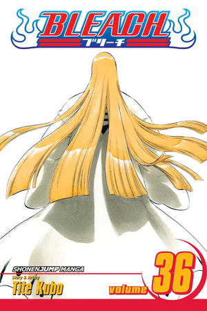 Bleach, Vol. 36,New
