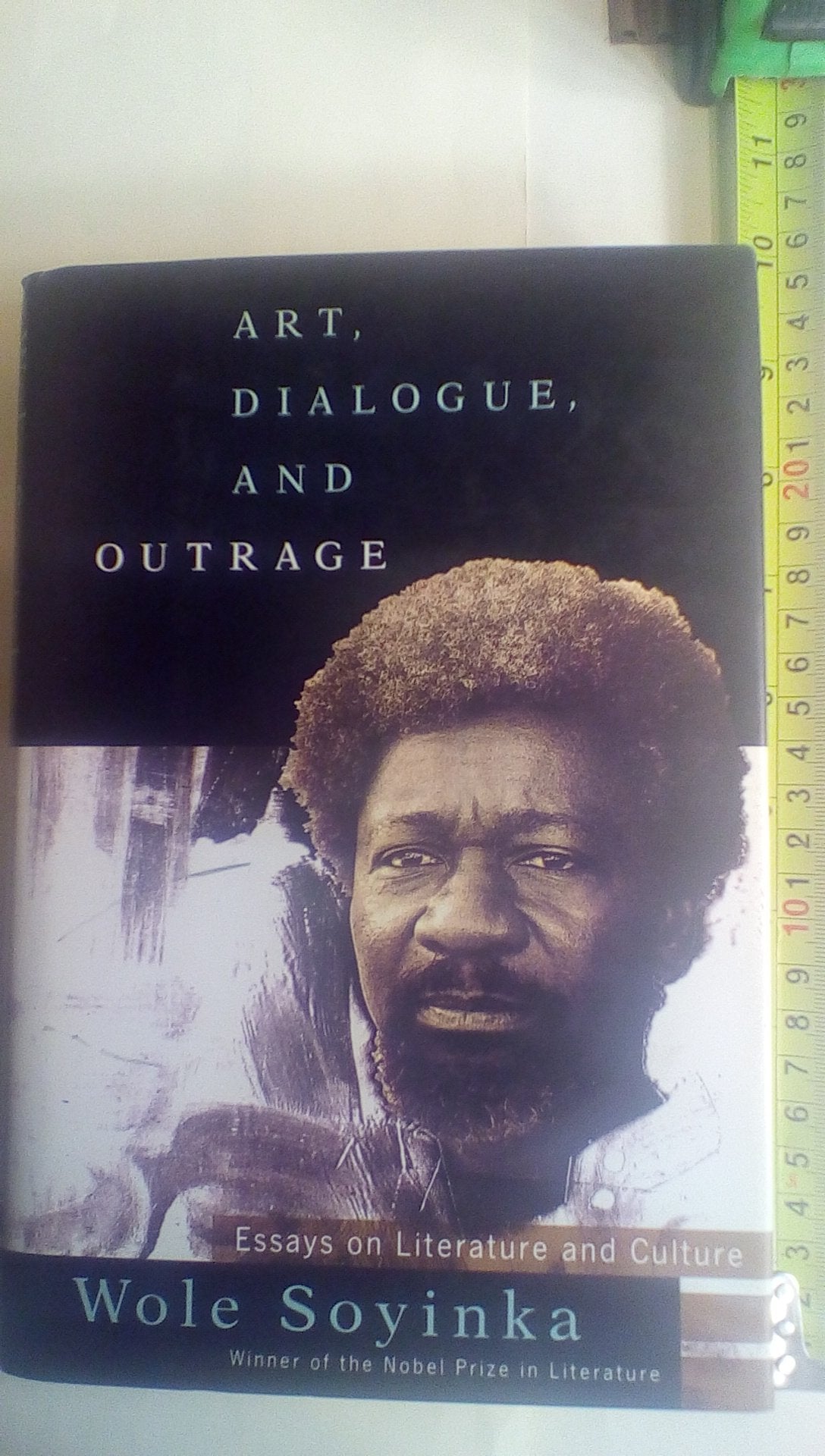 ART, DIALOGUE, AND OUTRAGE: Essays on Literature and Culture,Used